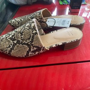 Women’s Shoes